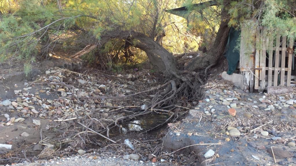 I fossi e lo stagno di Baratti (Piombino - LI)